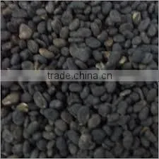 Babchi Seeds thumbnail-1