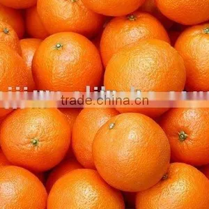 Mandarine Orange thumbnail-1