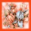 Silk Scarves thumbnail-1