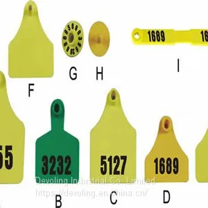 Animal Ear Tag With Laser Printing Number thumbnail-1