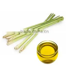 Superior Quality Citronella Oil For Bulk Suppliers thumbnail-1
