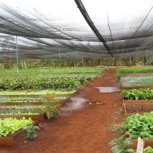 Dark Green Plastic Sun Shade Netting Cloth For Agriculture thumbnail-1