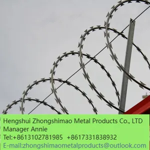 Protective Net thumbnail-1