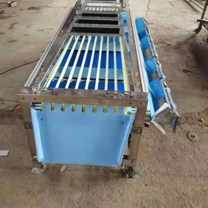Dragon Fruit Sorting Grading Machine Sorter Grader Machine Line Classifying Machines thumbnail-2