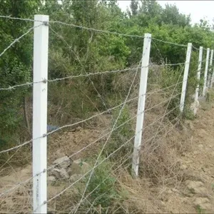 304 Stainless Steel Barbed Wire 1.8mm Diameter 4-Point 50m Coil Rust Proof Security Fence thumbnail-3