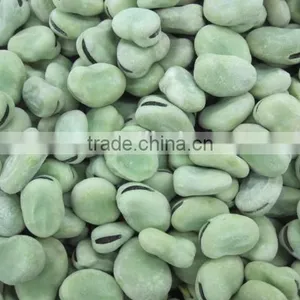 Frozen Broad Bean thumbnail-2