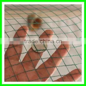 Virgin HDPE Animal Breeding Fence,bird Mist Net,vineyard Bird Netting thumbnail-4