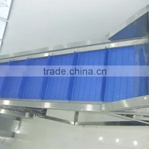100kg/h Fried Potato Chips Production Line thumbnail-2