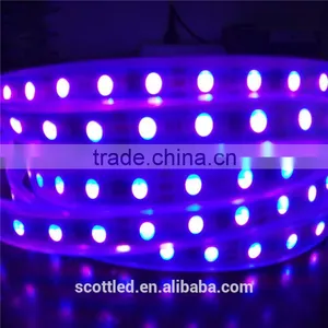 Waterproof IP67 Decoration DC12V SMD5050 60 Leds WS2811 Digital Led Tape/WS2811 Led Strip thumbnail-5