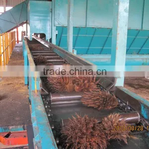 Palm Fruit Process Plant With Various Capacity thumbnail-6