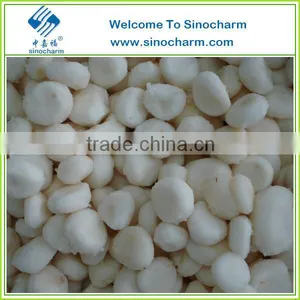 Frozen Water Chestnuts Wholesale thumbnail-1