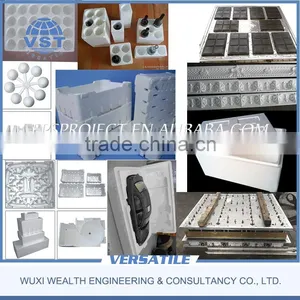 EPS Foam Shape Moulding Fish Box Making Machine thumbnail-6