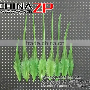 Top Supplier ZPDECOR Wholesale Good Quality Cheap Dyed Aqua Chicken Rooster Saddle Feathers for Show thumbnail-4