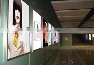 Price Acrylic Sheet/Organic Glass thumbnail-6