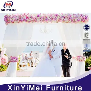 Royal Europea Style Background Wedding thumbnail-2