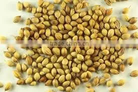 CORIANDER SEED thumbnail-1