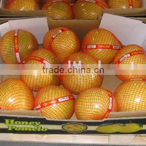 Super Quality Pomelo thumbnail-1