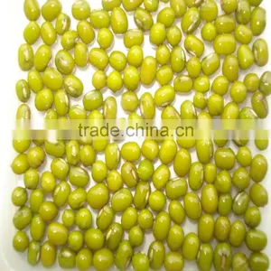 JSX in Vigna Beans Myanmar Pulses Dalian High Quality Export Green Beans thumbnail-3