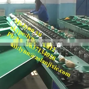 Fruit Sorting Machine by Weight /apple Sorting Machine thumbnail-2