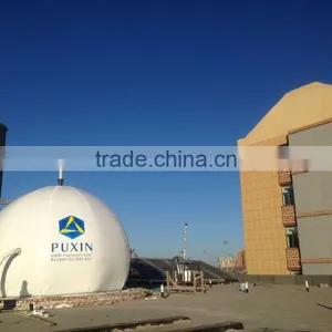 PUXIN Biogas Digester Plant Septic Tank With Gas Generator for Food Waste thumbnail-2