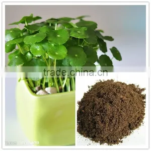 Substrate Peat Moss for Garden Application thumbnail-1