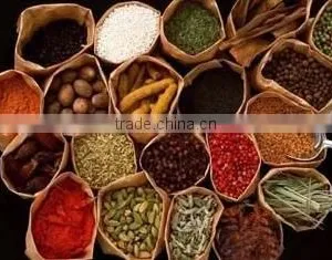 TN Series Multifunctional Traditional Chinese Medicine Extractor and Concentrator thumbnail-4