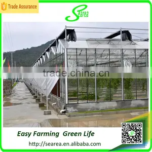 Modern Agricultural Equipments Glass Commercial Greenhouses thumbnail-1