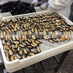 IQF Half Shell Blue Mussel thumbnail-2