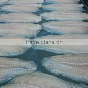 PANGASIUS FISH thumbnail-1