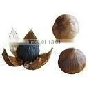 Organic Solo Black Garlic thumbnail-1