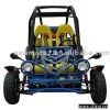 Sell 250cc Water-Cooled Go Kart With Europe E-mark Certificate thumbnail-1