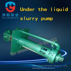 The rv 100 - SP (R) Type Liquid Under the Vertical Centrifugal Slurry Pump thumbnail-1
