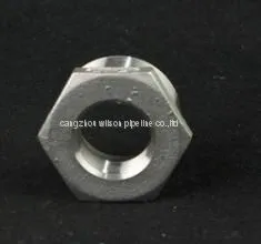Stainless Steel Hex Head Bushing of Forged Pipe Fitting 3000 6000 thumbnail-2
