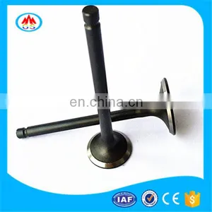 Abnormal Curved Beam Motorcycle Spare Parts Engine Valve for Suzuki Raider 150 thumbnail-1