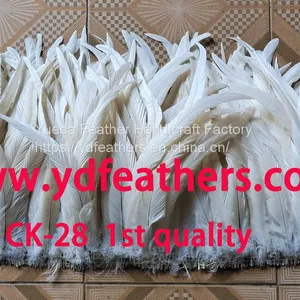 Bleached Black Rooster/Coque/Cock Tail Feather 14-16