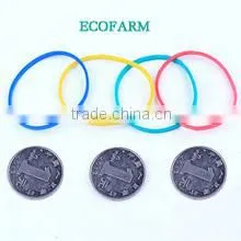 Rubbber Band for Money ( High Quality) thumbnail-1