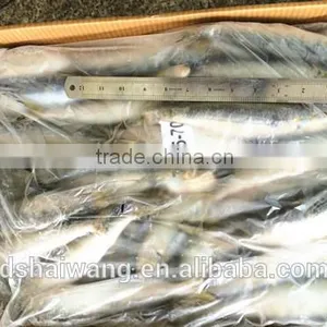 Frozen Sardine for Bait With Size 60 - 70 Pcs / 10kg Ctn thumbnail-3