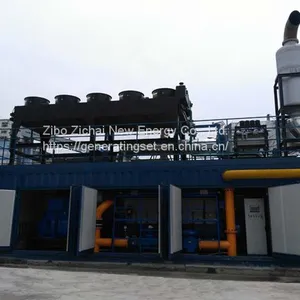 Low Rpm High Efficiency Biomass Gas Biogas Syngas Power Generator thumbnail-3