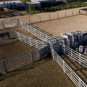 Reliable Ranch Cattle Panel: Trusted Construction for Daily Containing, Sorting, and Managing Valuable Herds thumbnail-1