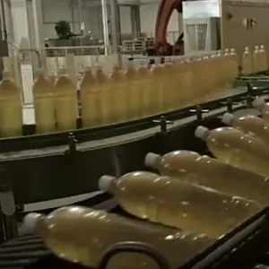 Pumpkin Fruit Processing Production Line Equipment Manufacturing, Pumpkin Pulp Processing Machinery, Pumpkin Juice Processing thumbnail-2