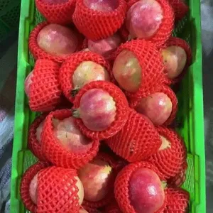 Premium Fresh Fruits: Pomegranate thumbnail-2