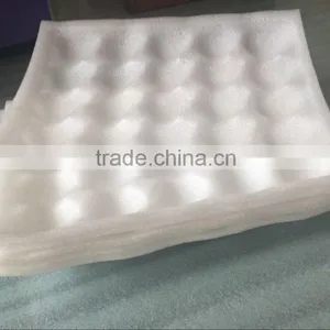 Disposable Plastic Fruit Strawberry Packaging Tray thumbnail-5