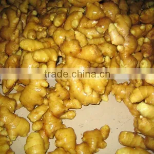50-200g Fresh Ginger thumbnail-1