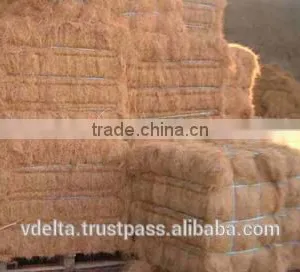 Coconut Fiber thumbnail-2