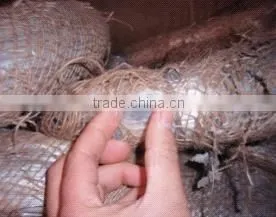 Electro Galvanized Iron Wire in Coil (real Factory) thumbnail-3