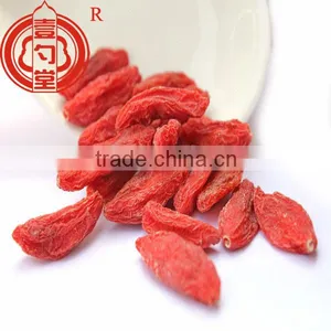 Berry Goji Bulk Goji Berries Wholesale Goji Berry thumbnail-1