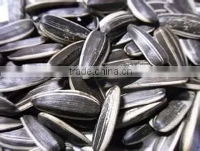 Sunflower Seed Companies, Dalian East Dawn thumbnail-1