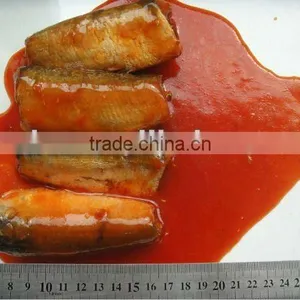 FDA Approval Canned Sardine Fish In Tomato Sauce thumbnail-1