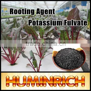Huminrich Stimulate Root Hair Development Agricultural Fertilizers Potassium Humate Fulvate Ball thumbnail-2
