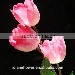 Export Wedding Decorative Fresh Flower Hot Pink Tulip thumbnail-1
